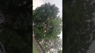😱😲😱bhago tufan a Gaya 😲😯😳😱 #shorts #shortvideo #trending #youtubeshorts #storm #theafzalshow #video