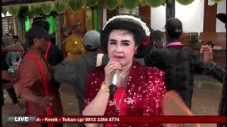 TAYUB TUBAN : MAWAR BIRU - SARIP TAMBAK OSO