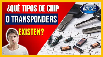 ¿Cuántos chips hay en un coche?