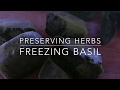 Freezing Basil: Homesteading Family