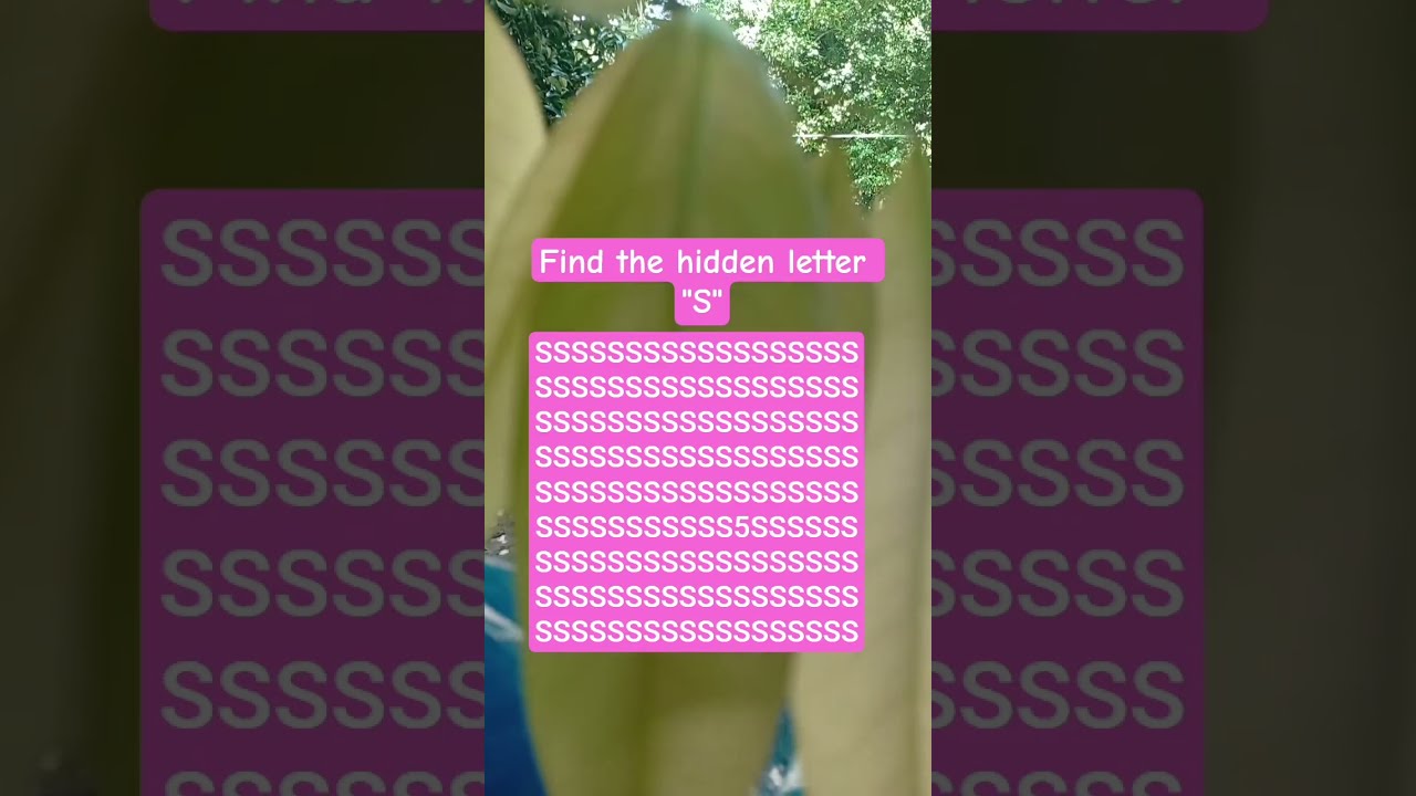 Find The Hidden Letter S Shorts Search