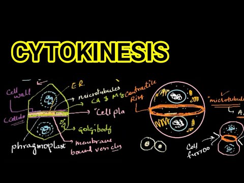 CYTOKINESIS | CELL CYCLE AND CELL DIVISION | NEET 2020 | PRANAV SHARMA