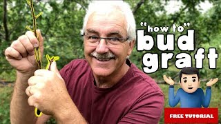 HOW TO BUD GRAFT (STEP BY STEP GUIDE)