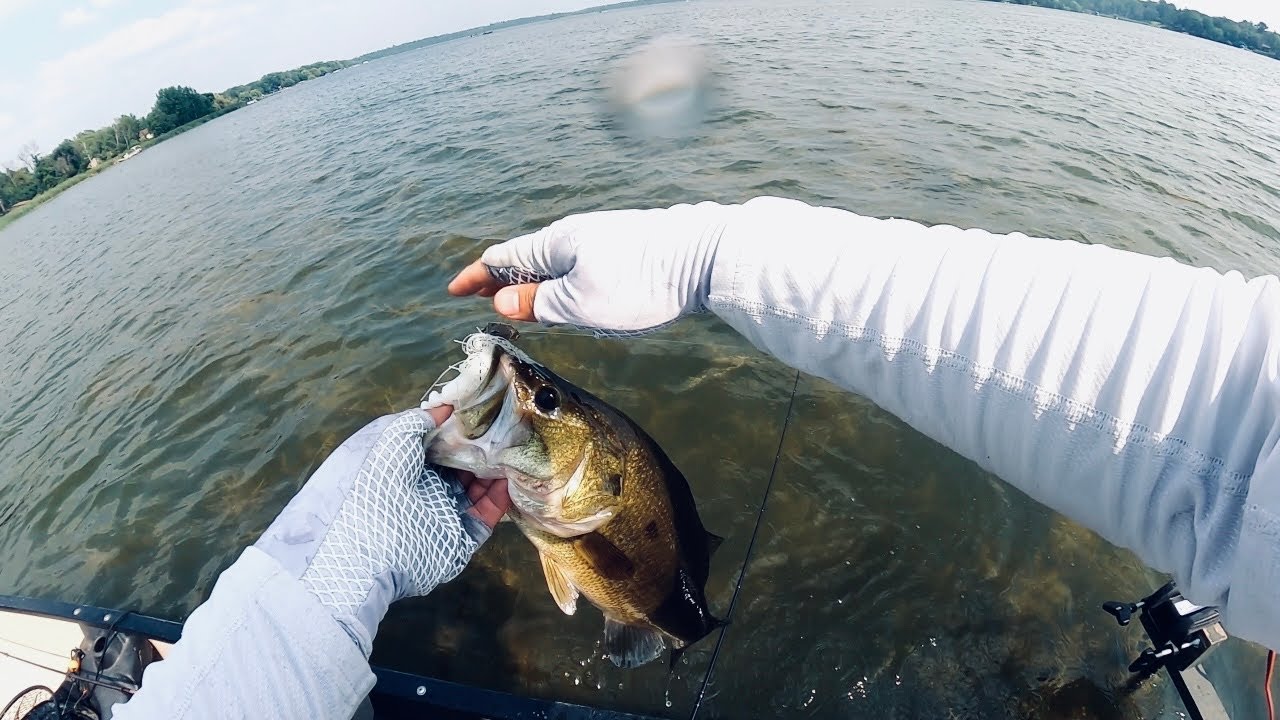 Another Summer Day of Bass Fishing!