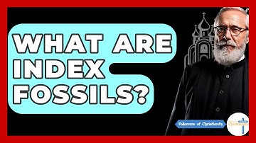 What Are Index Fossils? - Followers Of Christianity