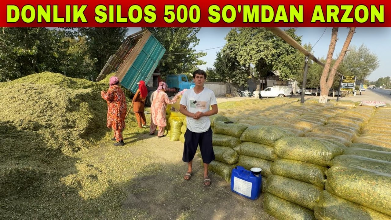 ELDAN 500 SO’MDAN ARZON DONLIK SILOS