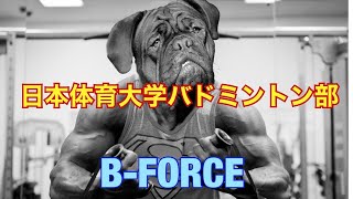 バドミントン 日本体育大学バドミントン部 B Force Badminton Youtube バドミントン 日本体育大学バドミントン部 B Force Badminton Youtube