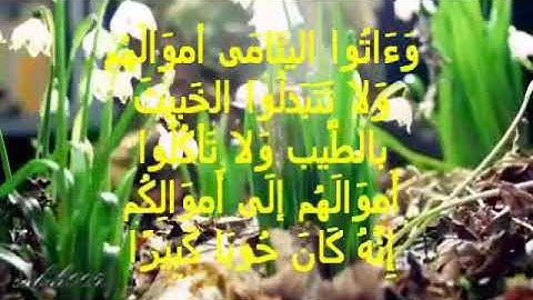 سورة النساء اية٣ جمال القرش(2)
