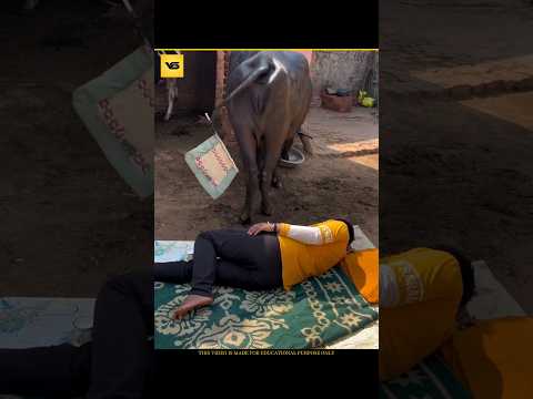 लोगों के गजब कारनामे 😹#shortsfeed