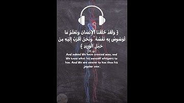 ونحن أقرب إليه من حبل الوريد. 🤍🌱 #قرآن #المنشاوي #سورة_ق #quran #arabic