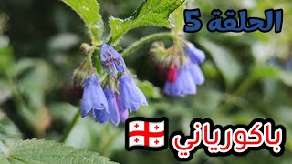 جورجيا ?? باكورياني + نصائح وملاحظات ، الحلقة 5