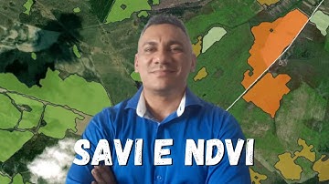 Índices de vegetação: SAVI  e NDVI