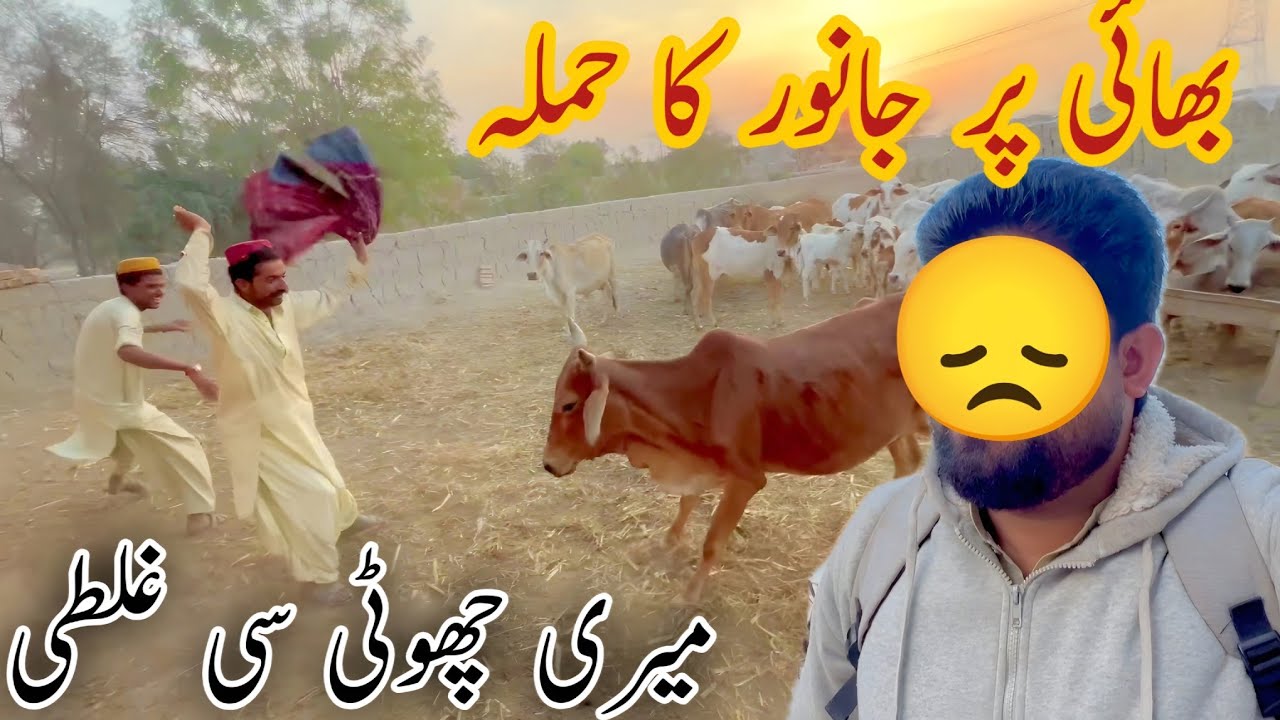 bhai par janor ka hamlah meri chhoti si ghalati