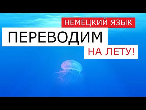 С немецким по