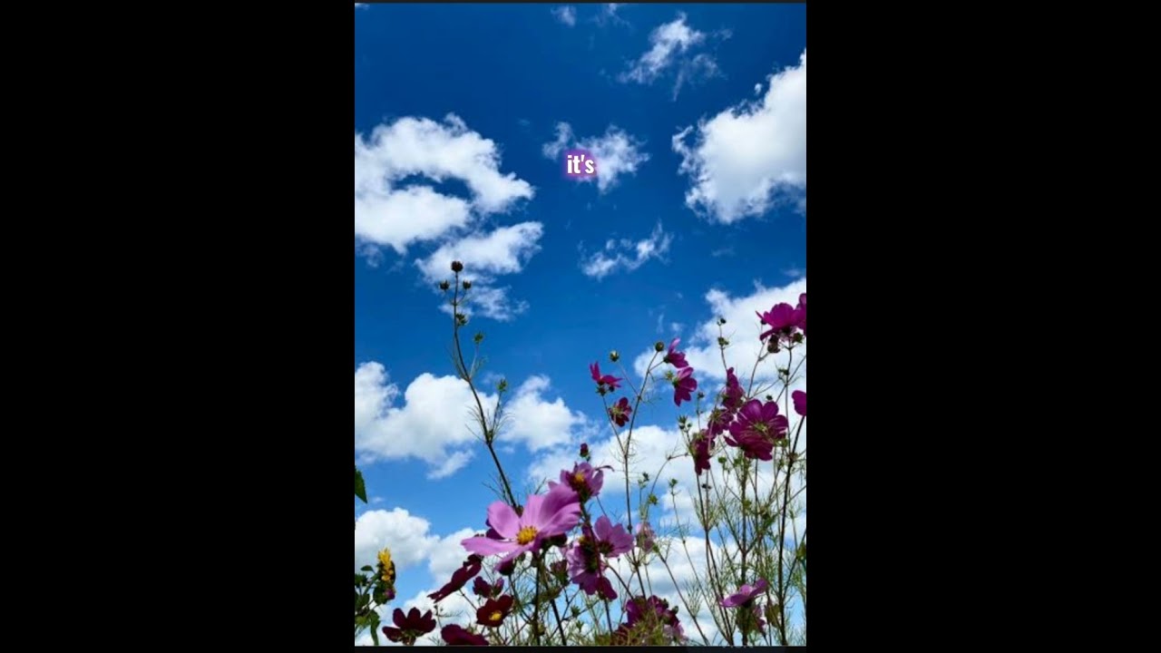 My Sweetest Addiction (lyrics) by Rich Edwards 