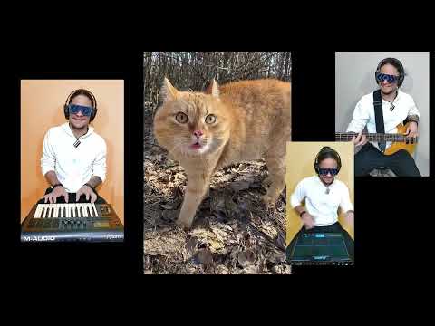 CAT SONG / THE CAT IN THE FOREST - REMIX