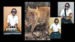 CAT SONG / THE CAT IN THE FOREST - REMIX by AtilaKw 19,822 views 13 days ago 1 minute, 10 seconds