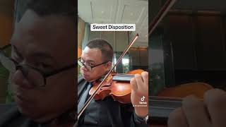 sweetdisposition thetempertrap music violincover cover