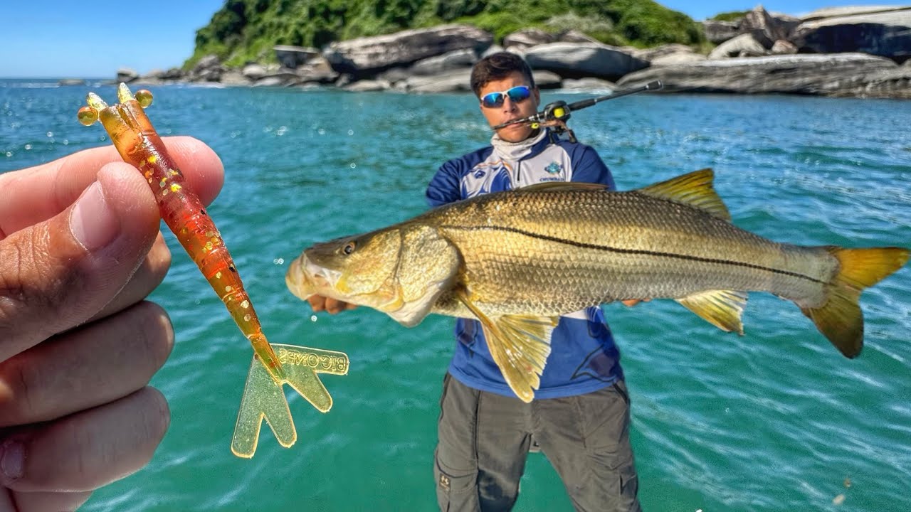 PESCA DE ROBALOS GRANDES COM CAMARÃO ARTIFICIAL!!! Tudo gravado.
