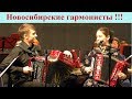 Юные дарования - гармонисты Новосибирска. Концерт 31.03.19