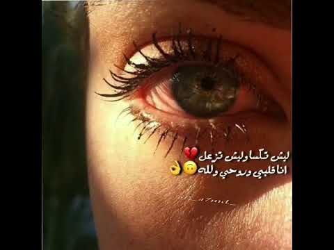 اغنية بكلام رائع المدير