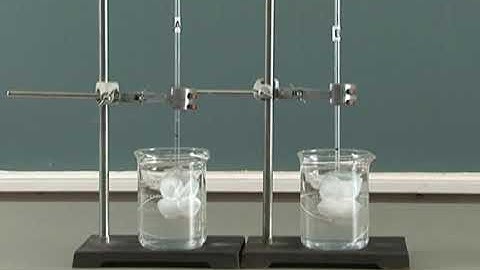 Video 3.1 Demonstration of osmosis using living animal tissue