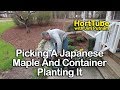 Picking A Japanese Maple And Container Planting It