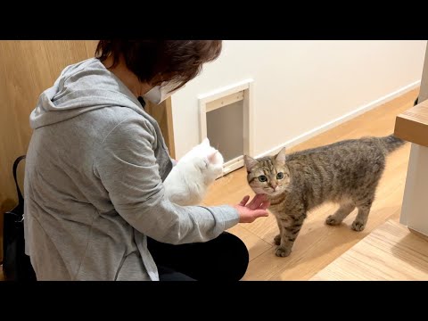 3日ぶりに母親が猫と会ったら大歓迎されました！