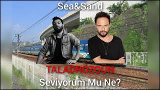 SEVİYORUM MU NE? - TALADRÖZGÜN (prod. by Sea&Sand) (İbrahim Erkal Hürmet) Resimi