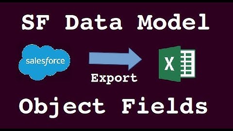 Export Salesforce Data Model to Excel