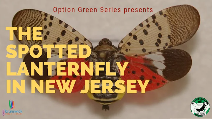 The Spotted Lanternfly in New Jersey
