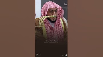 تلاوة من #سورة_الأحزاب #الشيخ_الوليد_الشمسان #مكة_المكرمة #المدينة_المنورة #المصحف #اكسبلور