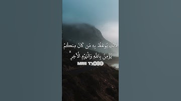 ماهر المعيقلي - سورة البقرة ( برواية حفص عن عاصم ) الأية 232