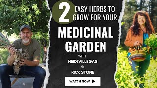 2 Easy Herbs to Grow for your Medicinal Garden with Heidi Villegas