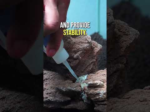 أسهل طريقة للصق صخور حوض السمك