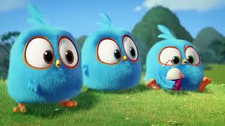 G'azablangan ko'k qushlar multfilm uzbek tilida | Angry Birds blues multfilm | Talking Tom songs