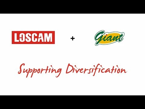 Loscam & Giant Supporting Diversification eng