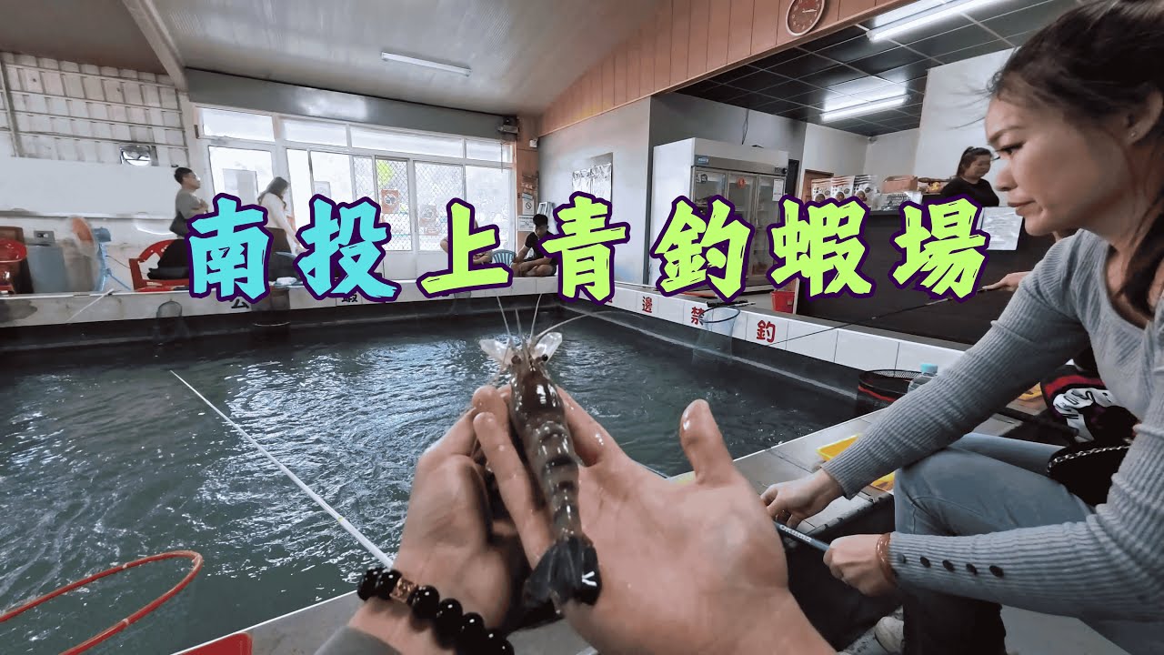 上青釣蝦場！初次遠征南投釣蝦結果非常烙賽！#台湾のエビ釣り #대만새우낚시 #taiwanshrimpfishing #urbanfishing #釣蝦 #上青釣蝦場 #天枰 #釣蝦場 #阿波 #刀師