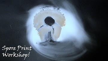 Mushroom Spore Print Workshop