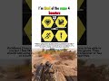 I’m tired of the same 4 boosters - Helldivers 2