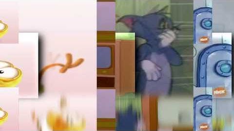 6 Shuric Scans with are slides (Jayden Alternate