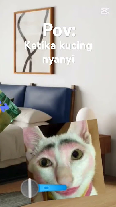 ketika kucing nyanyi