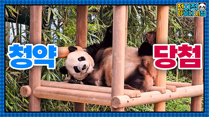 (SUB) Panda Lebao's Favorite Ride🐼│Panda World