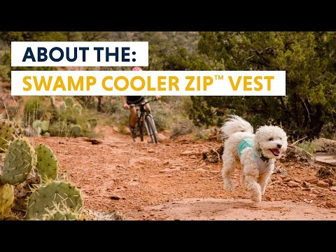 Vidéo: Manteaux de refroidissement par évaporation pour chiens