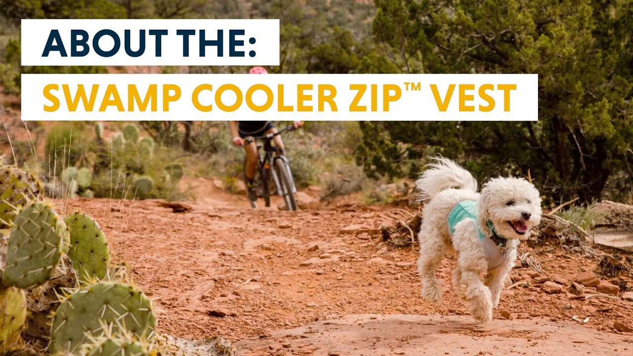 Swamp Cooler Zip™ Cooling Dog Vest