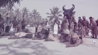 Telugu, Sadhguru daily whatsapp status  (19/01/2019)