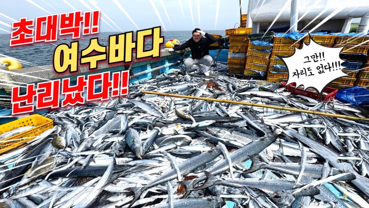 '대박 만선' 현재 여수 앞바다로 돈 주우러 가는 난리가 난 국민 생선! 더 넣을 곳도 없다!!
