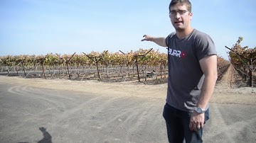 Train Burro to Single Row