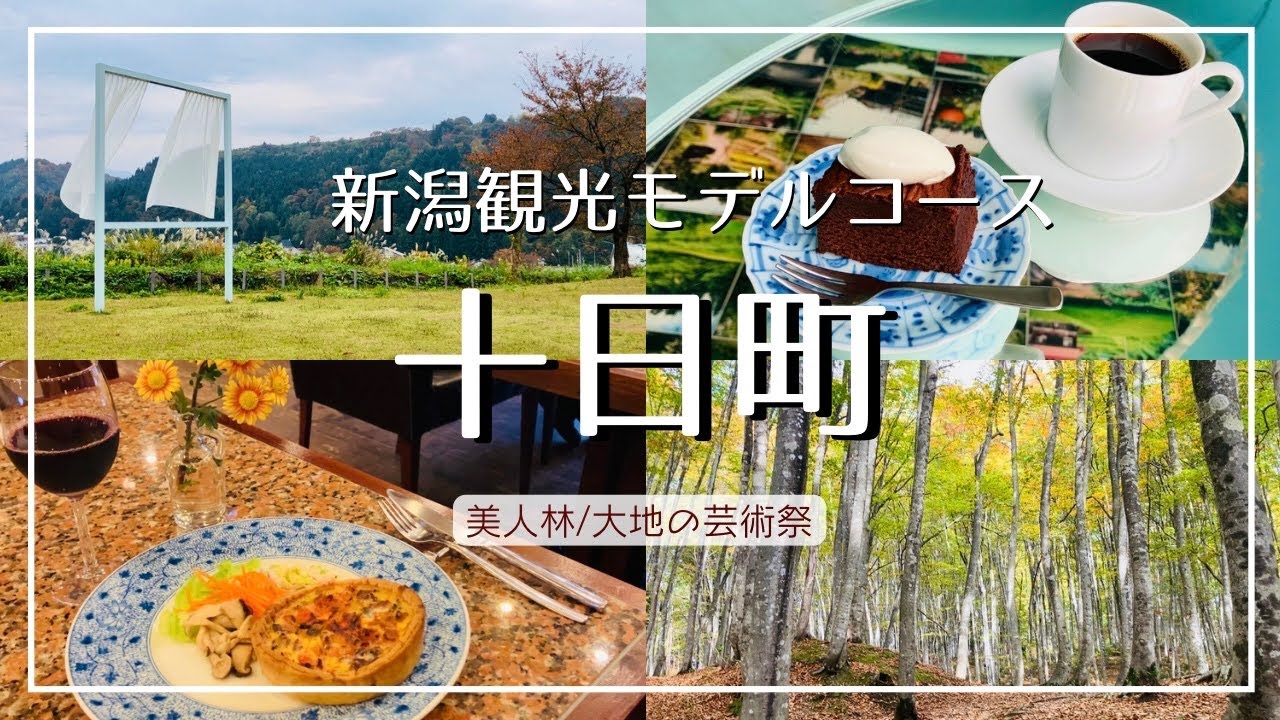 【新潟観光】十日町 大地の芸術祭と美人林を巡るモデルコース/カールベンクス古民家カフェ 澁い -SHIBUI-/越後まつだい 里山食堂【アートとグルメと自然の旅】