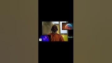 Ion Channels and Neurotransmitters: The Building Blocks of Brain Activity